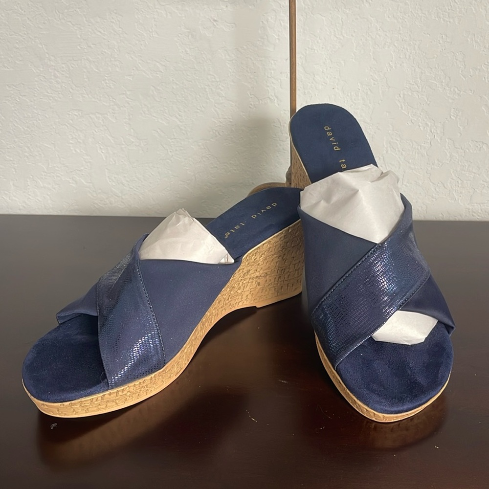 Very comfortable blue david tate shoes.